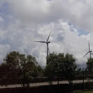 gwo1